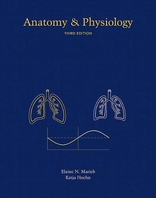 Anatomy & Physiology with IP-10 CD-ROM - Elaine N. Marieb, Katja Hoehn