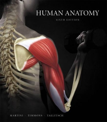 Human Anatomy (Cancelled package. See ISBN 032163201X) - Frederic H. Martini, Michael J. Timmons, Robert B. Tallitsch