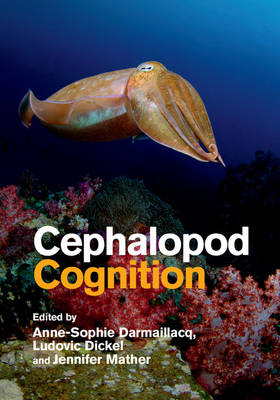 Cephalopod Cognition - 