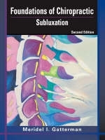 Foundations of Chiropractic - Meridel I. Gatterman