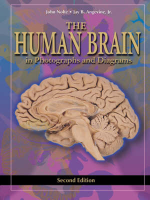 EIC with Animations for the Human Brain - John Nolte