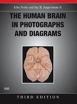 The Human Brain in Photographs and Diagrams - John Nolte, Jay B. Angevine