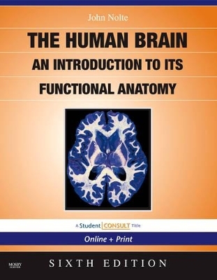 The Nolte's the Human Brain - John Nolte, Todd Vanderah, Douglas Gould