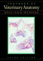 Textbook of Veterinary Anatomy - K.M. Dyce, Wolfgang O. Sack, C. J. G. Wensing