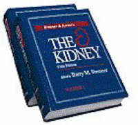 The Kidney - 