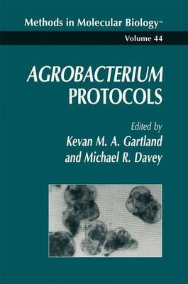 Agrobacterium Protocols - Kevan M a Gartland