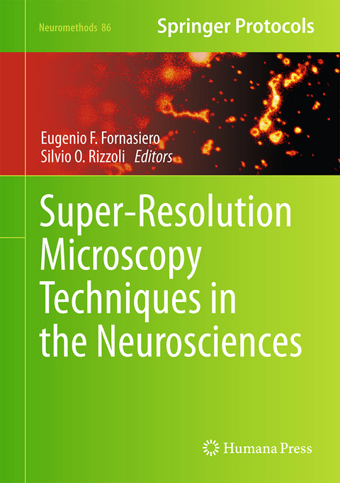 Super-Resolution Microscopy Techniques in the Neurosciences - 