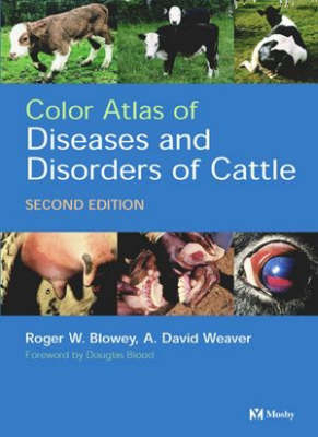 Color Atlas of Diseases and Disorders of Cattle - Roger Blowey, A. David Weaver