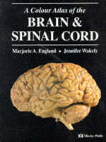 A Colour Atlas of Brain and Spinal Cord - Marjorie A. England, J. Wakely