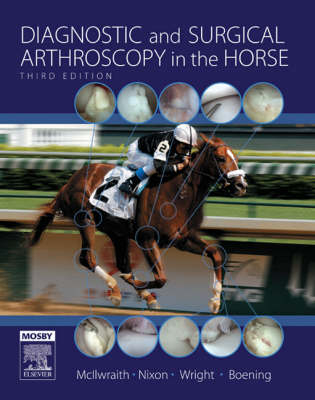 Diagnostic and Surgical Arthroscopy in the Horse - C. Wayne McIlwraith, Ian Wright, Alan J. Nixon, K. Josef Boening