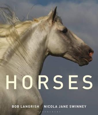 Horses - Nicola Jane Swinney