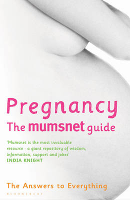 Pregnancy: The Mumsnet Guide -  Mumsnet