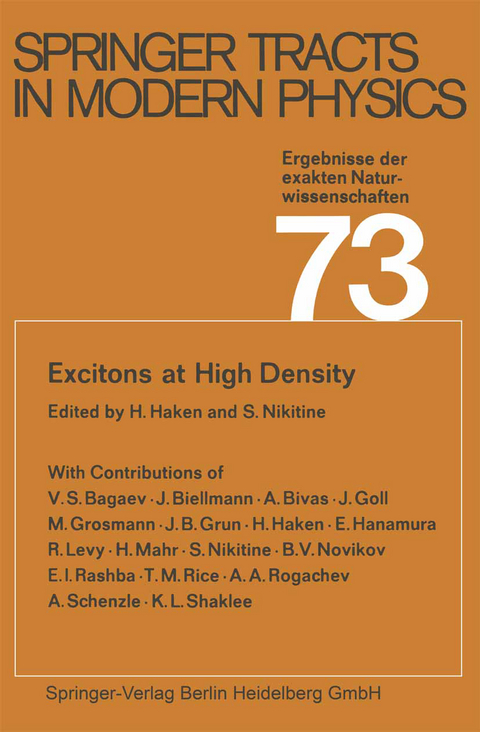 Excitons at High Density - 