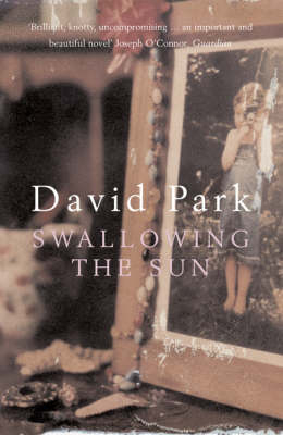 Swallowing the Sun - David Park