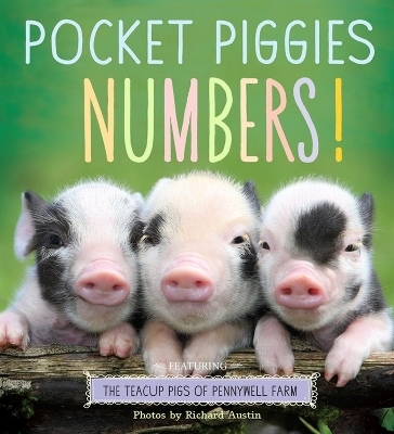 Pocket Piggies Numbers! - Richard Austin