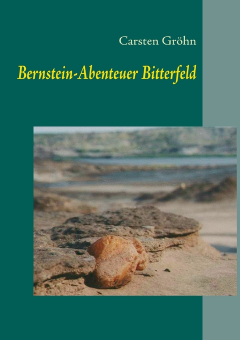 Bernstein-Abenteuer Bitterfeld -  Carsten Gröhn