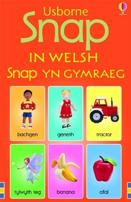 Snap in Welsh - Felicity Brooks