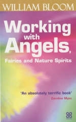 Working With Angels, Fairies And Nature Spirits - Dr. William Bloom