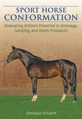 Sport Horse Conformation - Christian Schacht