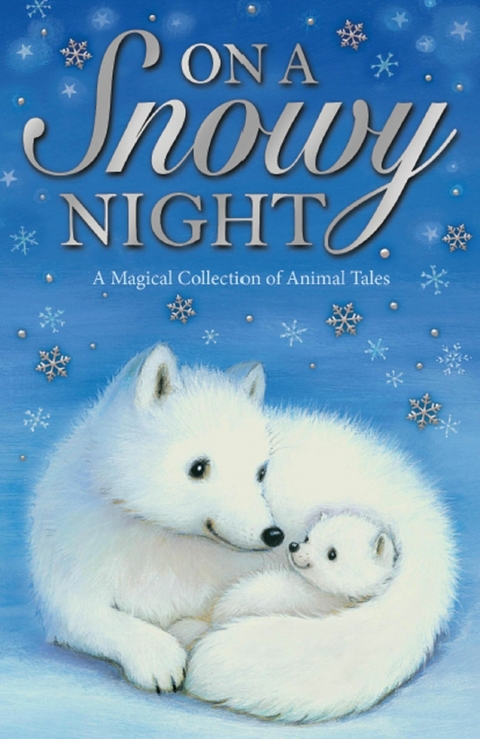 On a Snowy Night -  Various authors