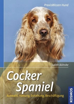 Cocker Spaniel - Judith Böhnke