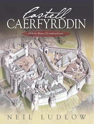 Castell Caerfyrddin - Neil Ludlow