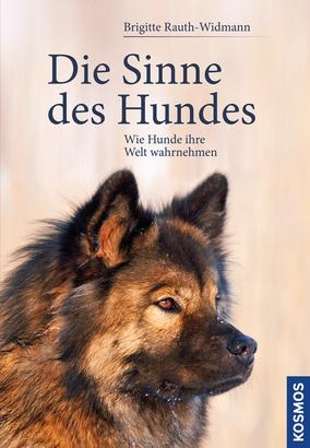 Die Sinne des Hundes - Brigitte Rauth-Widmann