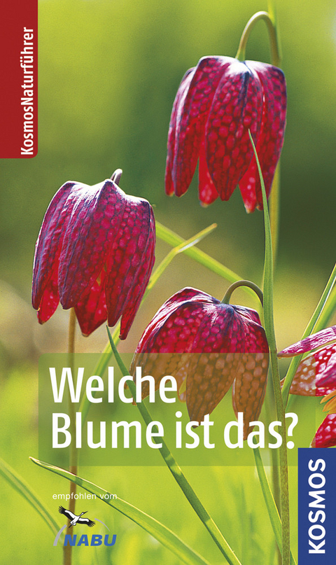 Welche Blume ist das? - Margot Spohn, Roland Spohn