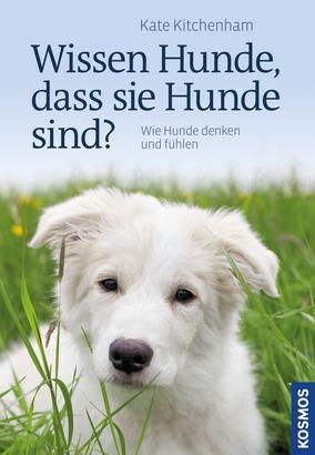 Wissen Hunde, dass sie Hunde sind? - Kate Kitchenham