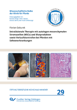 Intraläsionale Therapie mit autologen mesenchymalen Stromazellen (MSCs) und Blutprodukten sowie Verlaufskontrollen bei Pferden mit Sehnenerkrankungen - Florian Geburek