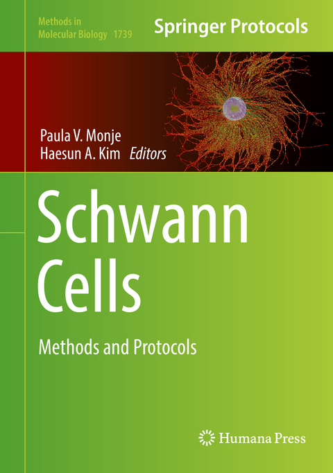 Schwann Cells - 