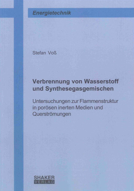 Verbrennung von Wasserstoff und Synthesegasgemischen - Stefan Voß