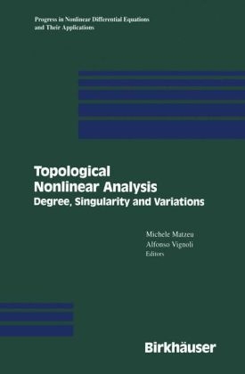 Topological Nonlinear Analysis - 