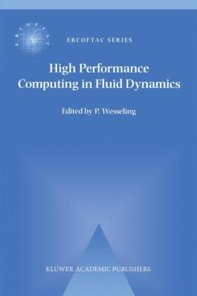 High Performance Computing in Fluid Dynamics - 