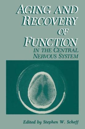 Aging and Recovery of Function in the Central Nervous System -  Stephen W. Scheff