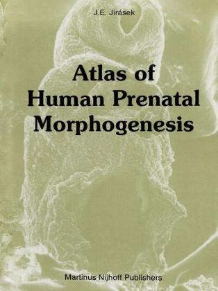 Atlas of Human Prenatal Morphogenesis -  J.E. Jirasek