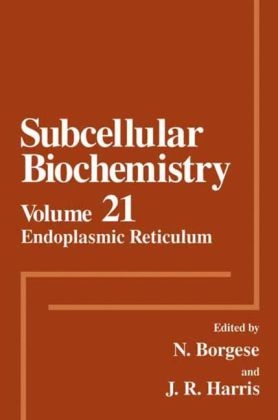 Endoplasmic Reticulum - 