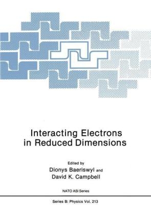 Interacting Electrons in Reduced Dimensions - 