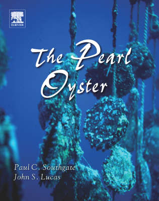 The Pearl Oyster - 