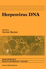 Herpesvirus DNA - 