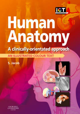 Human Anatomy - Sam Jacob