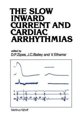 Slow Inward Current and Cardiac Arrhythmias - 