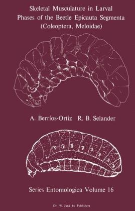 Skeletal Musculature in Larval Phases of the Beetle Epicauta Segmenta (Coleoptera, Meloidae) -  A. Berrios-Ortiz,  R.B. Selander