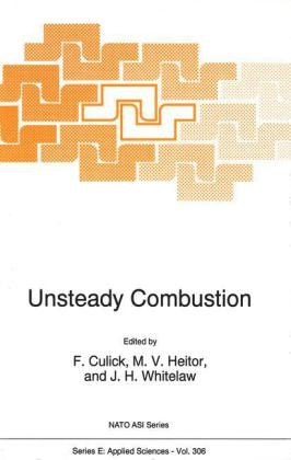 Unsteady Combustion - 