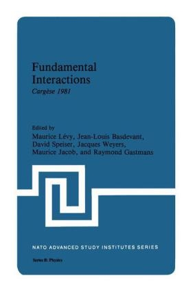 Fundamental Interactions - 