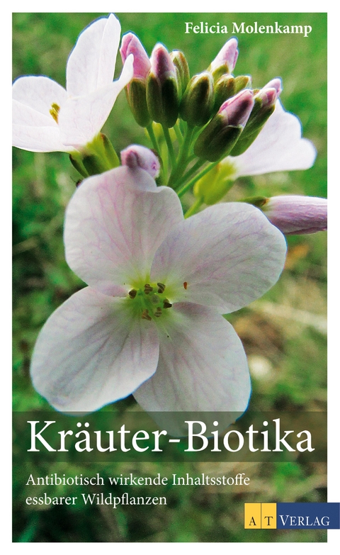 Kräuter-Biotika -  Felicia Molenkamp
