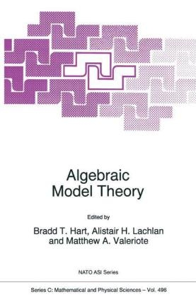Algebraic Model Theory - 