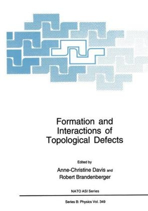 Formation and Interactions of Topological Defects - 
