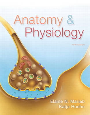 Anatomy & Physiology - Elaine N. Marieb, Katja Hoehn
