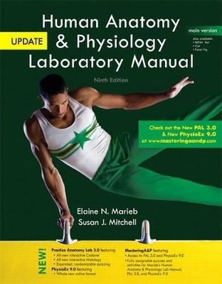 Human Anatomy & Physiology Laboratory Manual, Main Version, Update - Elaine N. Marieb, Susan J. Mitchell